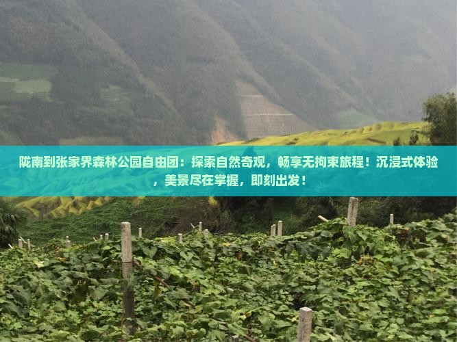 陇南到张家界森林公园自由团