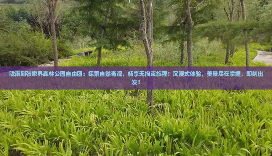 陇南到张家界森林公园自由团