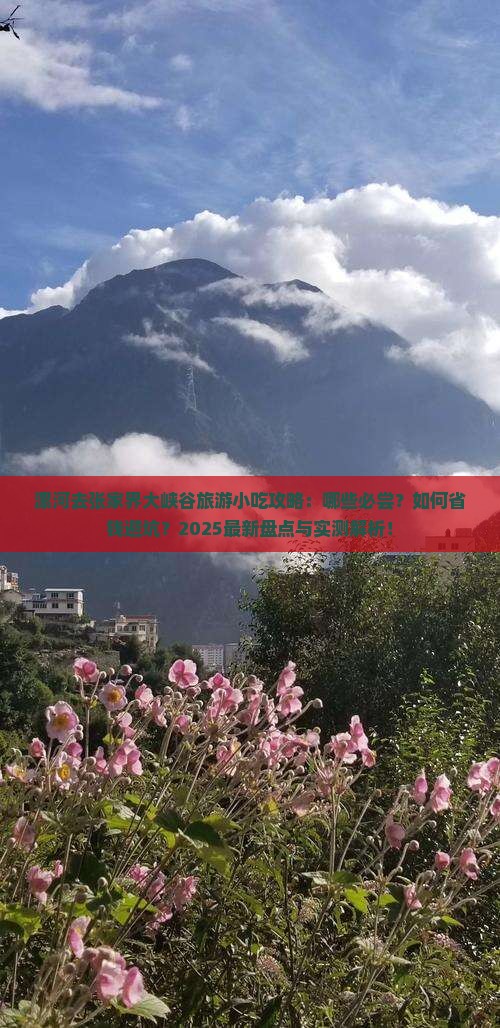 漯河去张家界大峡谷旅游小吃