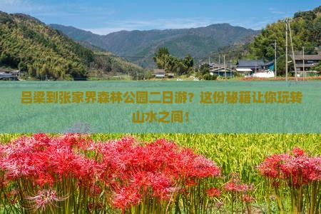 吕梁到张家界森林公园二日游