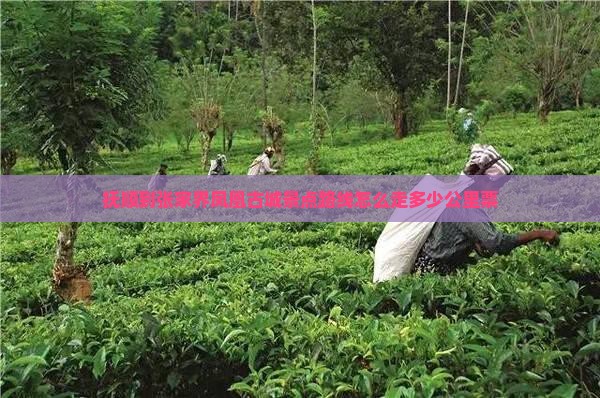抚顺到张家界凤凰古城景点