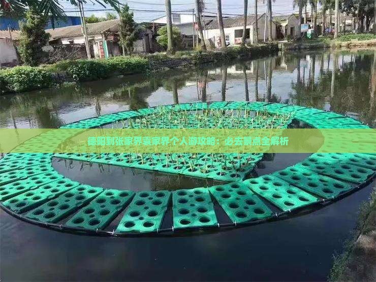 德阳到张家界袁家界个人游