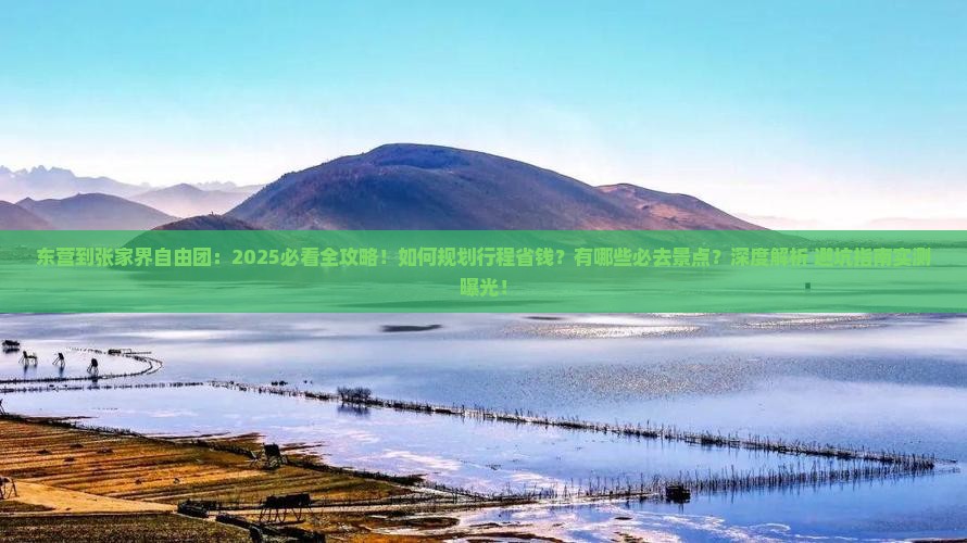 东营到张家界自由团