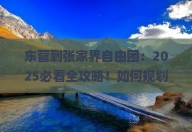 东营到张家界自由团