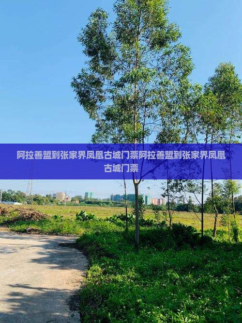 阿拉善盟到张家界凤凰古城门票