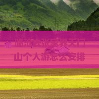 临沧去张家界天门山个人游