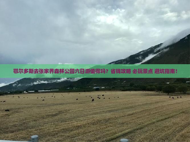鄂尔多斯去张家界森林公园六日游