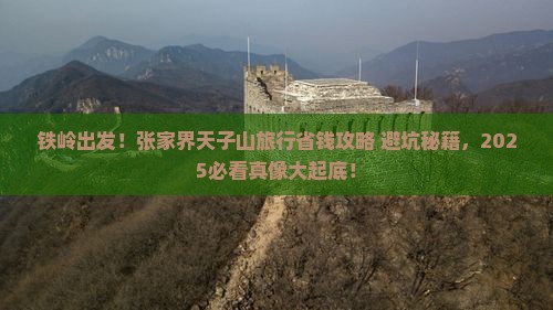 铁岭去张家界天子山旅行社