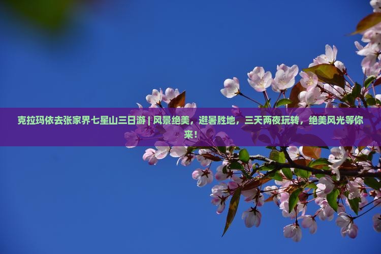 克拉玛依去张家界七星山三日游