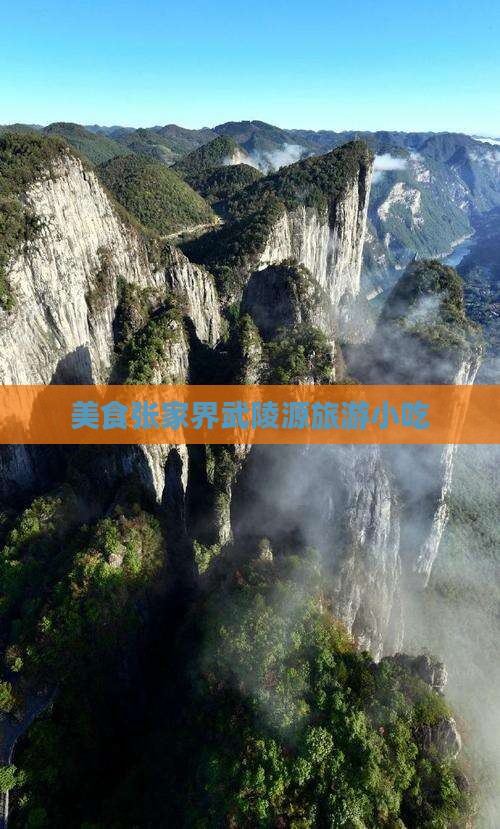 济南到张家界武陵源旅游小吃