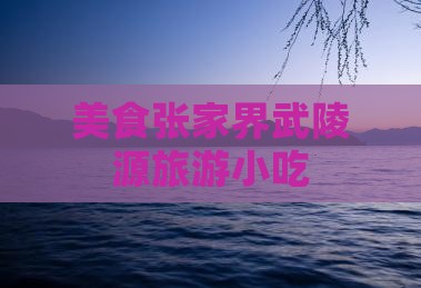 济南到张家界武陵源旅游小吃