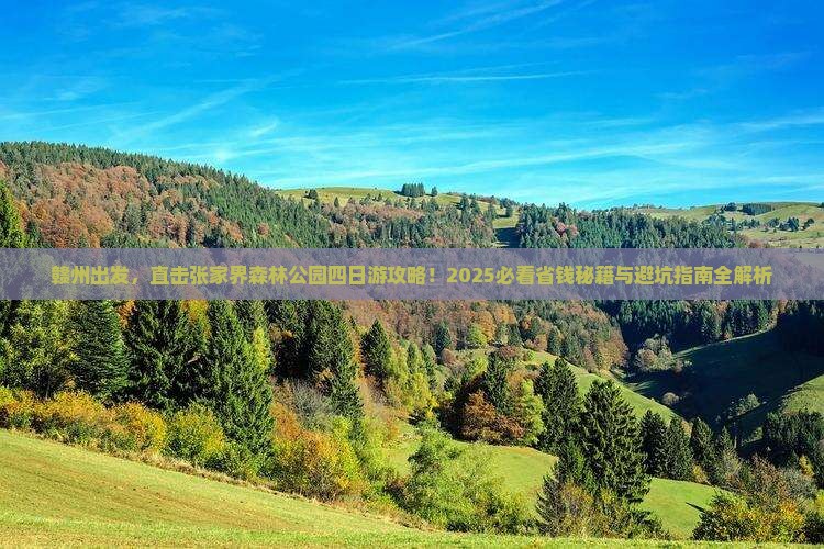 赣州到张家界森林公园四日游