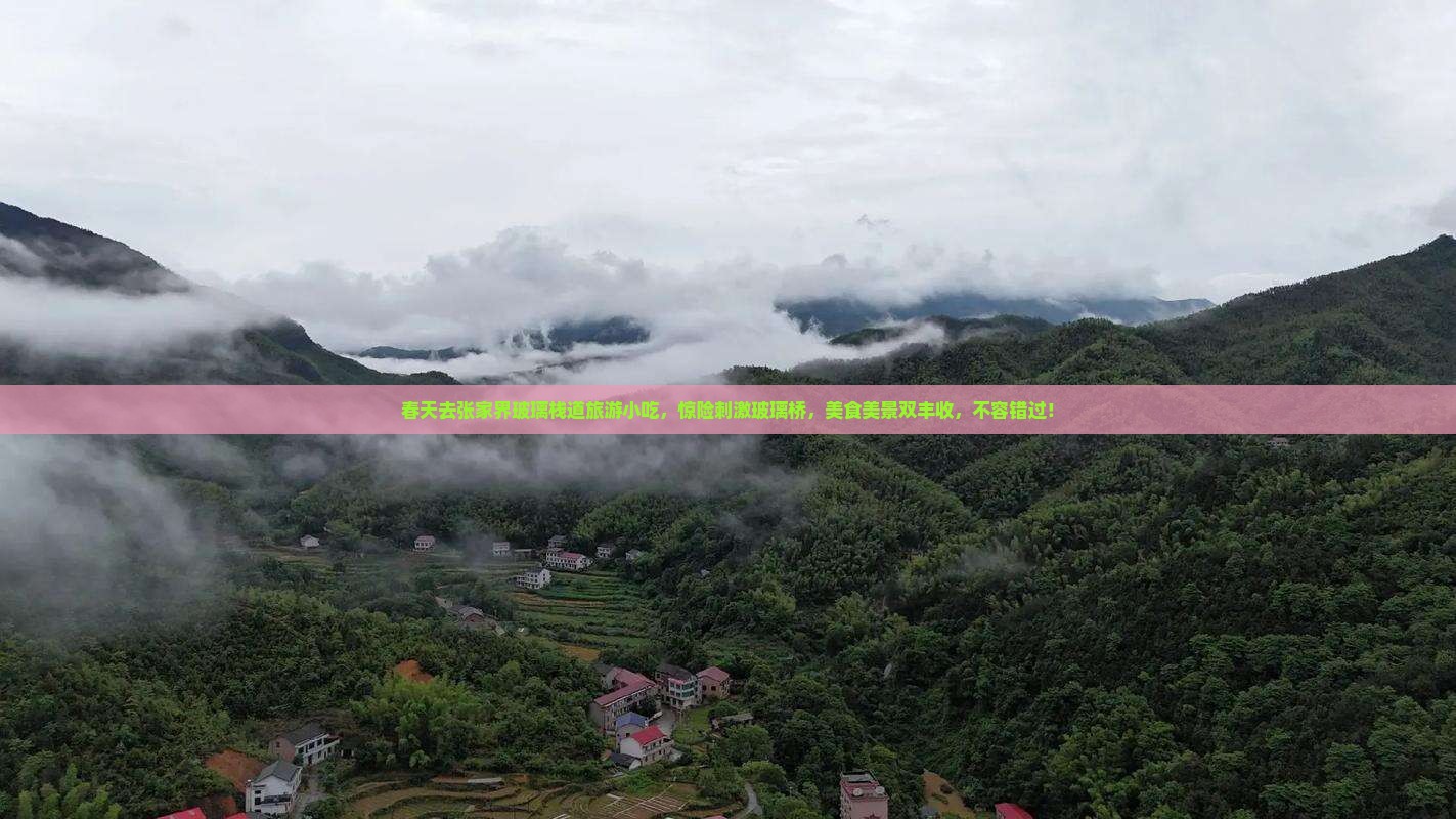 春天去张家界玻璃栈道旅游小吃
