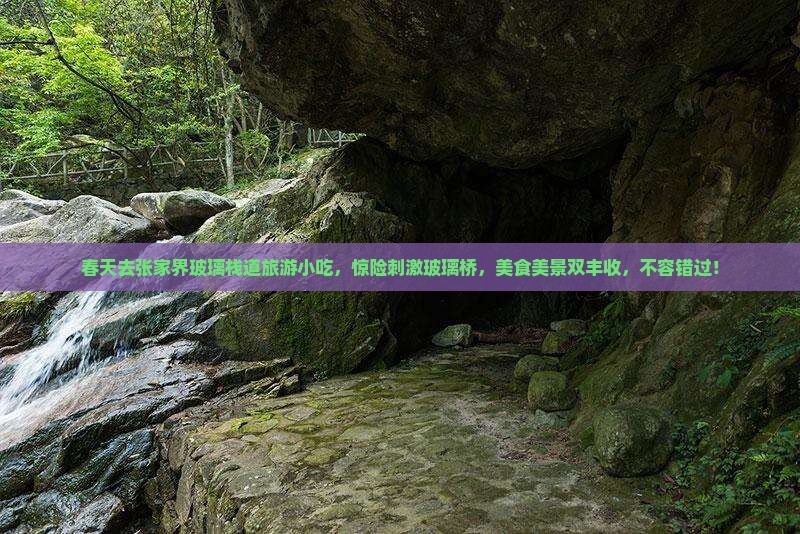 春天去张家界玻璃栈道旅游小吃