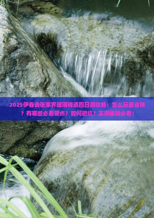 伊春去张家界玻璃栈道四日游