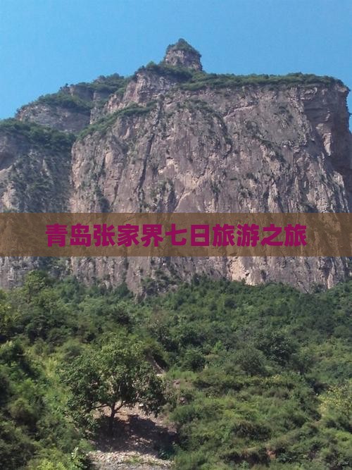 青岛去张家界袁家界七日游