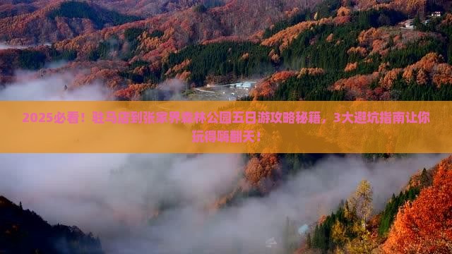 驻马店到张家界森林公园五日游