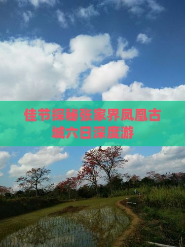 佳节探秘张家界凤凰古城六日深度游