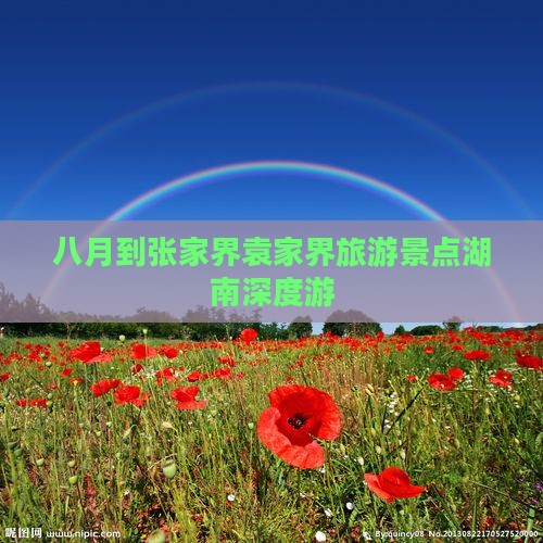 八月到张家界袁家界旅游景点湖南深度游