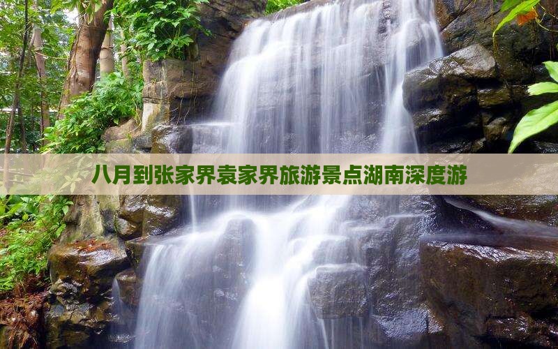 八月到张家界袁家界旅游景点湖南深度游