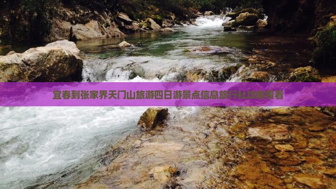 宜春到张家界天门山旅游四日游景点信息旅行社攻略看看