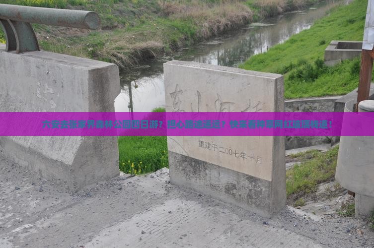 六安去张家界森林公园四日游？担心路途遥远？快来看种草网红玻璃栈道！