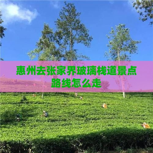 惠州去张家界玻璃栈道景点路线怎么走