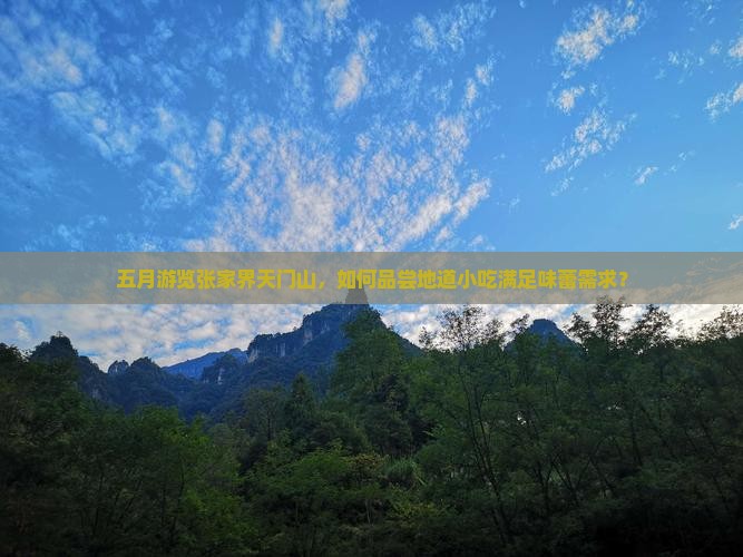 五月游览张家界天门山，如何品尝地道小吃满足味蕾需求？