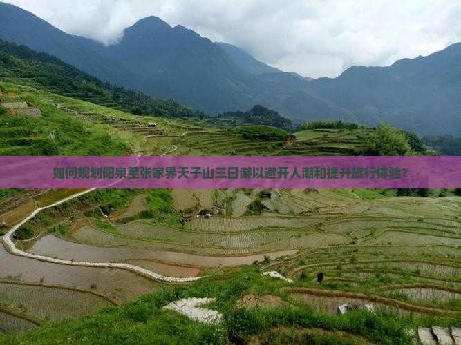 如何规划阳泉至张家界天子山三日游以避开人潮和提升旅行体验？