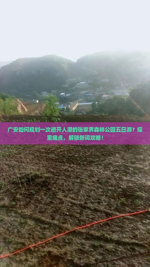 广安如何规划一次避开人潮的张家界森林公园五日游？探索痛点，解锁新词攻略！