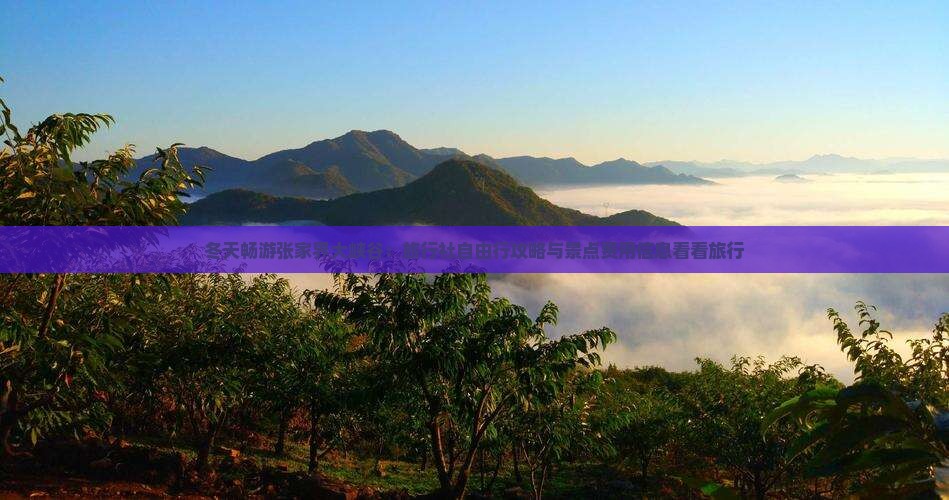 冬天畅游张家界大峡谷：旅行社自由行攻略与景点费用信息看看旅行