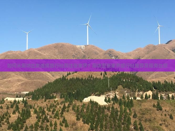 如何从廊坊出发选择旅行社前往张家界？廊坊至张家界旅行社推荐及服务比较