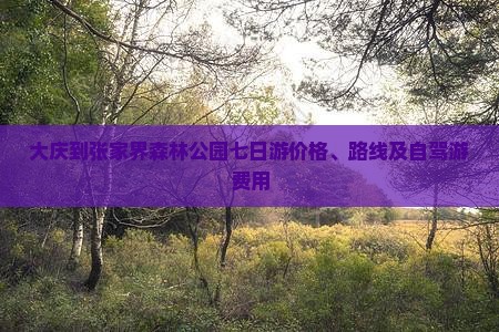 大庆到张家界森林公园七日游价格、路线及自驾游费用