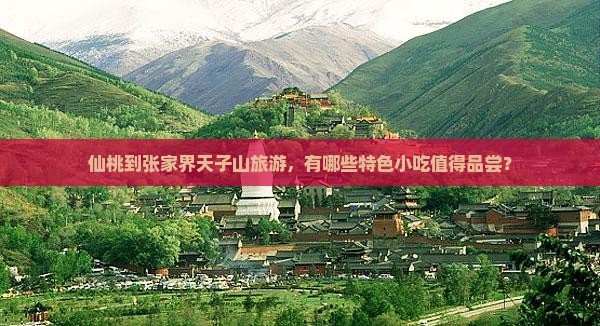 仙桃到张家界天子山旅游，有哪些特色小吃值得品尝？