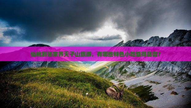 仙桃到张家界天子山旅游，有哪些特色小吃值得品尝？