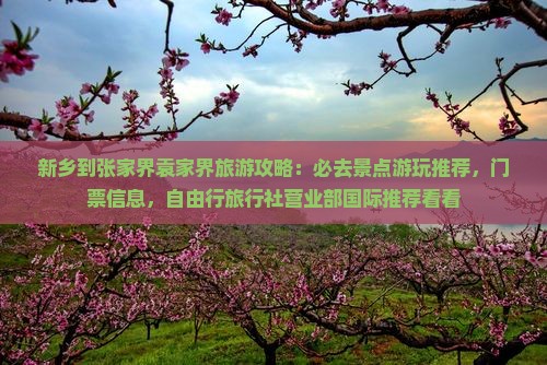 新乡到张家界袁家界旅游攻略：必去景点游玩推荐，门票信息，自由行旅行社营业部国际推荐看看