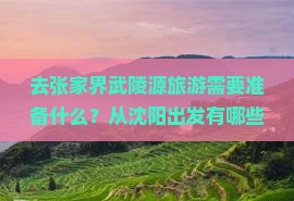 去张家界武陵源旅游需要准备什么？从沈阳出发有哪些交通方式？