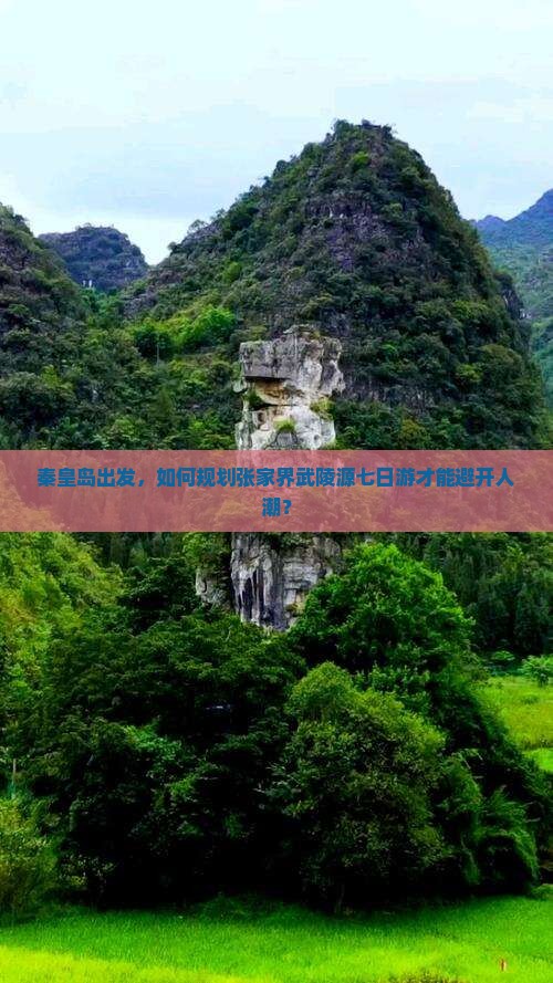 秦皇岛出发，如何规划张家界武陵源七日游才能避开人潮？