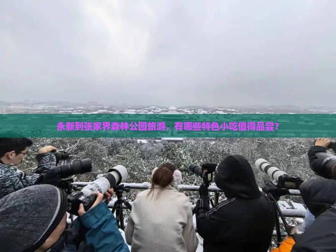 永新到张家界森林公园旅游，有哪些特色小吃值得品尝？