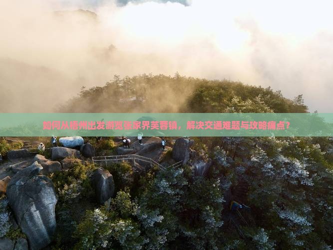 如何从梧州出发游览张家界芙蓉镇，解决交通难题与攻略痛点？