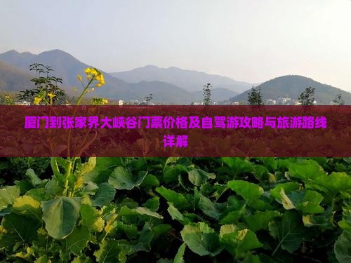 厦门到张家界大峡谷门票价格及自驾游攻略与旅游路线详解