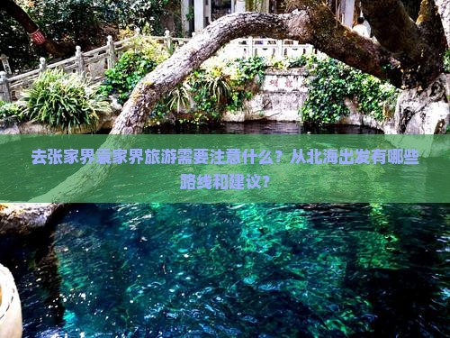 去张家界袁家界旅游需要注意什么？从北海出发有哪些路线和建议？