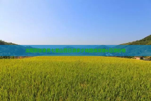 沈阳到张家界七星山四日游多少钱路线攻略6日游价格