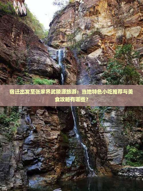 宿迁出发至张家界武陵源旅游：当地特色小吃推荐与美食攻略有哪些？