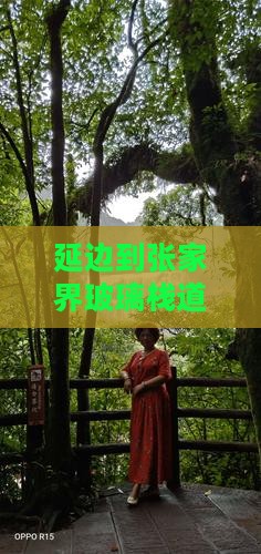 延边到张家界玻璃栈道旅行社推荐