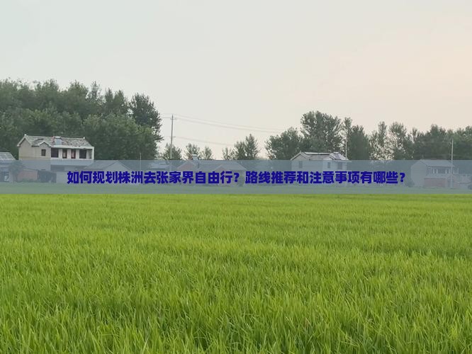 如何规划株洲去张家界自由行？路线推荐和注意事项有哪些？