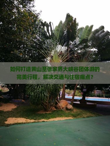 如何打造黄山至张家界大峡谷团体游的完美行程，解决交通与住宿痛点？