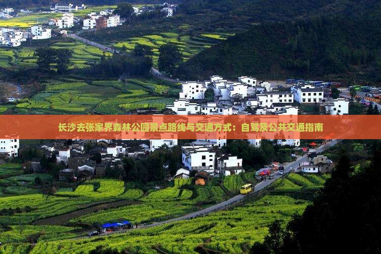 长沙去张家界森林公园景点路线与交通方式：自驾及公共交通指南