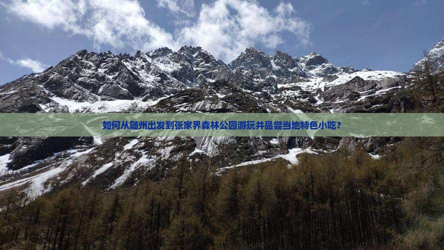 如何从随州出发到张家界森林公园游玩并品尝当地特色小吃？