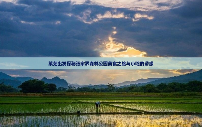 莱芜出发探秘张家界森林公园美食之旅与小吃的诱惑